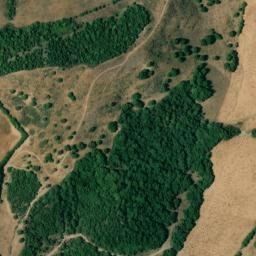 Satellite imagery of survey_point, DZ