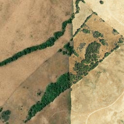Satellite imagery of survey_point, DZ