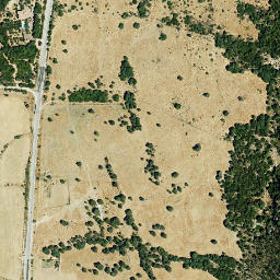 Satellite imagery of survey_point, DZ