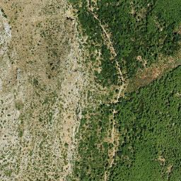 Satellite imagery of survey_point, DZ