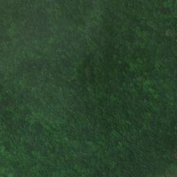 Satellite imagery of Miller Bluff, US