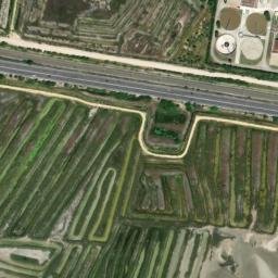Satellite imagery of survey_point, DZ