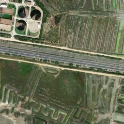 Satellite imagery of survey_point, DZ