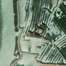 Satellite imagery of survey_point, DZ