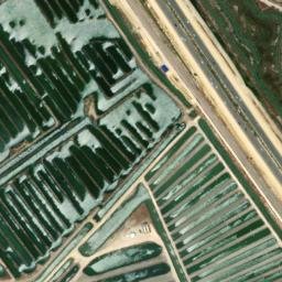 Satellite imagery of survey_point, DZ
