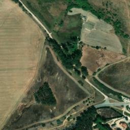 Satellite imagery of survey_point, DZ