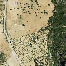 Satellite imagery of survey_point, DZ