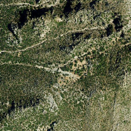 Satellite imagery of survey_point, DZ