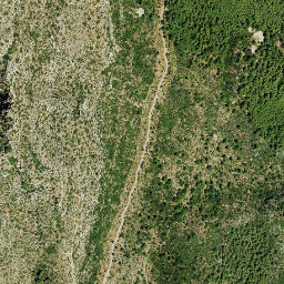 Satellite imagery of survey_point, DZ