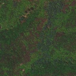 Satellite imagery of survey_point, JP