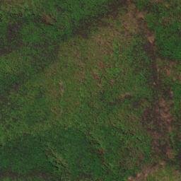 Satellite imagery of survey_point, JP