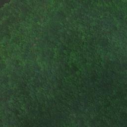 Satellite imagery of Miller Bluff, US