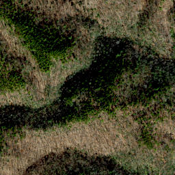 Satellite imagery of Tar Ridge, US