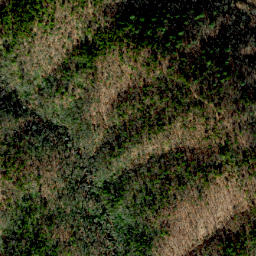Satellite imagery of Tar Ridge, US