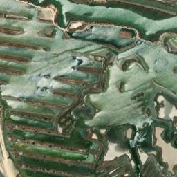 Satellite imagery of survey_point, DZ