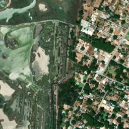 Satellite imagery of survey_point, DZ