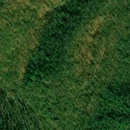 Satellite imagery of Fork Ridge, US