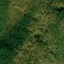Satellite imagery of Fork Ridge, US