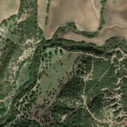 Satellite imagery of survey_point, DZ