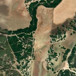 Satellite imagery of survey_point, DZ