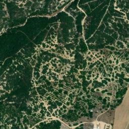 Satellite imagery of survey_point, DZ