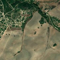 Satellite imagery of survey_point, DZ