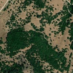Satellite imagery of survey_point, DZ