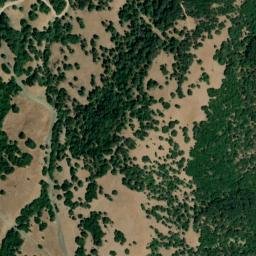 Satellite imagery of survey_point, DZ