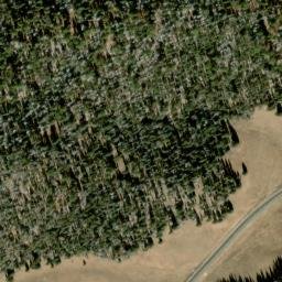 Satellite imagery of 8339.31 — NGS DO5636 — Coconino County, US, US