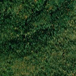 Satellite imagery of Skaggs Ridge, US