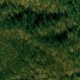 Satellite imagery of Taylor Ridge, US