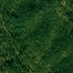 Satellite imagery of Fork Ridge, US