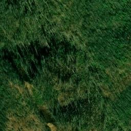 Satellite imagery of Fork Ridge, US