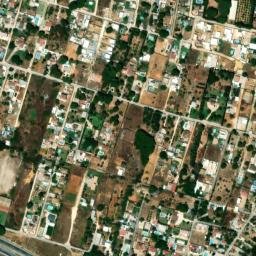 Satellite imagery of survey_point, DZ