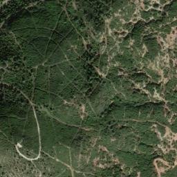 Satellite imagery of survey_point, DZ