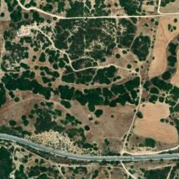 Satellite imagery of survey_point, DZ