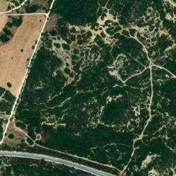 Satellite imagery of survey_point, DZ