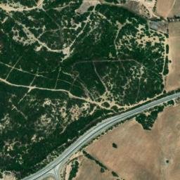 Satellite imagery of survey_point, DZ
