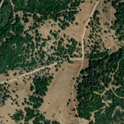 Satellite imagery of survey_point, DZ