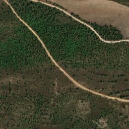 Satellite imagery of Jabal al Kalb, DZ