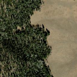 Satellite imagery of 8339.31 — NGS DO5636 — Coconino County, US, US