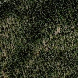 Satellite imagery of 8339.31 — NGS DO5636 — Coconino County, US, US