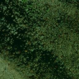 Satellite imagery of Dittany Ridge, US