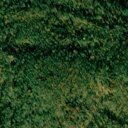 Satellite imagery of Skaggs Ridge, US