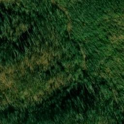 Satellite imagery of Fork Ridge, US