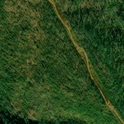 Satellite imagery of Fork Ridge, US
