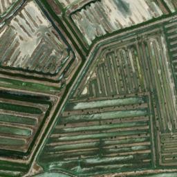 Satellite imagery of survey_point, DZ
