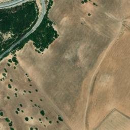 Satellite imagery of survey_point, DZ