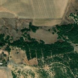 Satellite imagery of survey_point, DZ