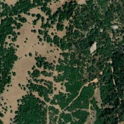 Satellite imagery of survey_point, DZ
